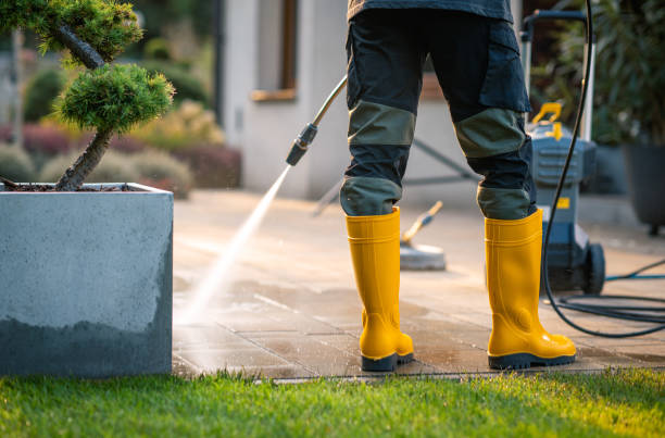 Best Pressure Washing Company Near Me  in Waikoloa Village, HI